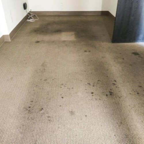 Carpet-cleaning-before (1)