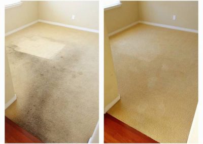 Carpet-cleaning-dallas-3