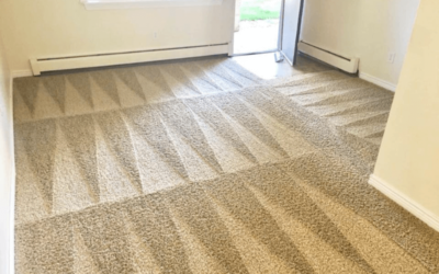 How Much Does Carpet Cleaning Cost in Dallas, TX?