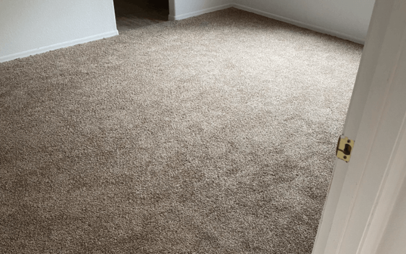 How to Deep Clean Your Carpet at Home?