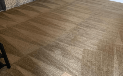 The Top Carpet Cleaning Tips for Dallas Homeowners